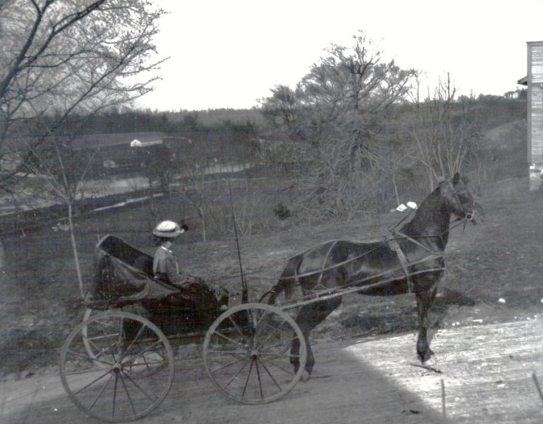 History Overview of the History of DeGraff